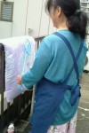ひまわり