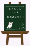 スペシャルコース