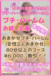 お試しプチ・ハーレム企画