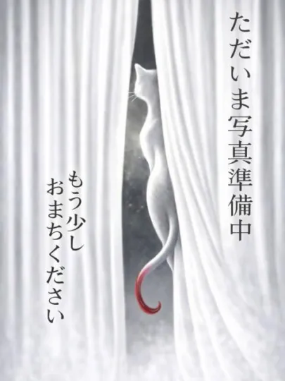 ぎんねこ『瞳（ひとみ）』